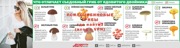 герыч Алексин